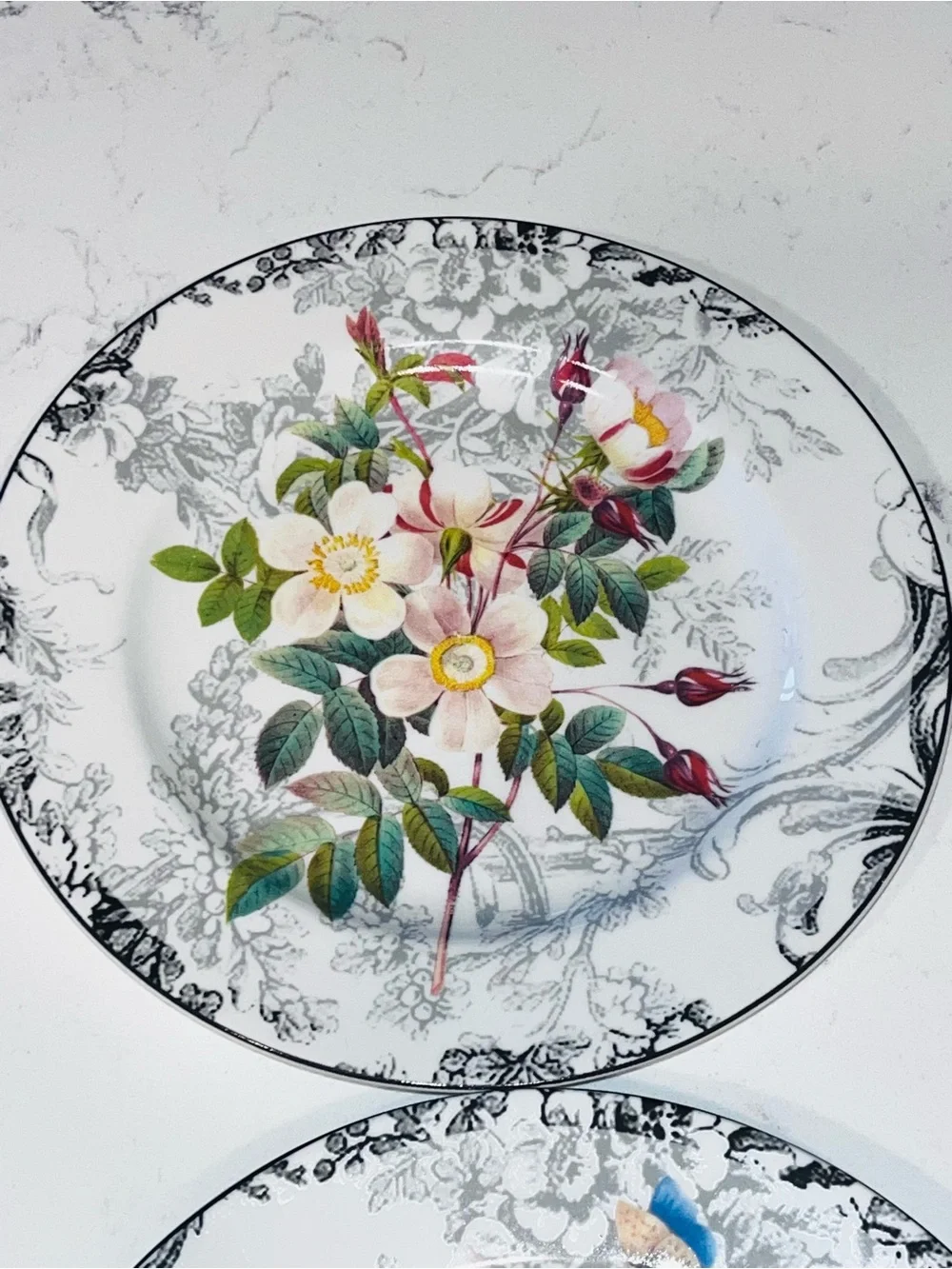 American Atelier Rose Toile Porcelain 8” Salad Plate Floral Set of 4 #5232